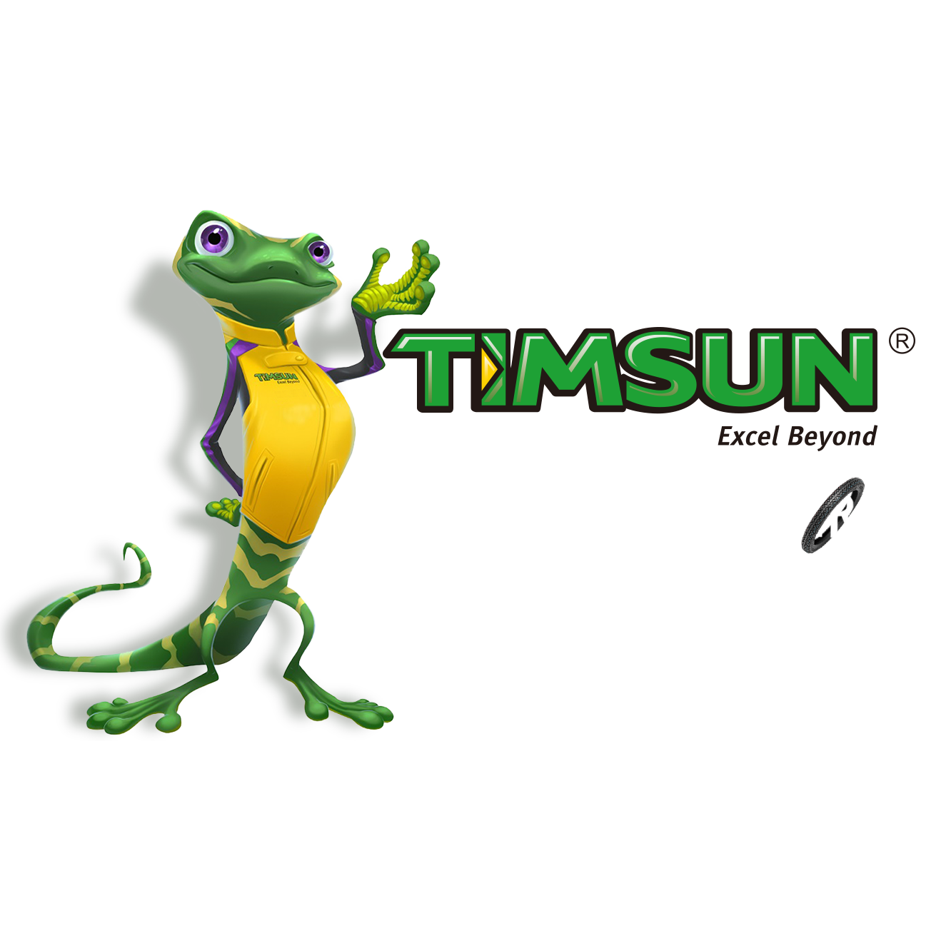 TIMSUN